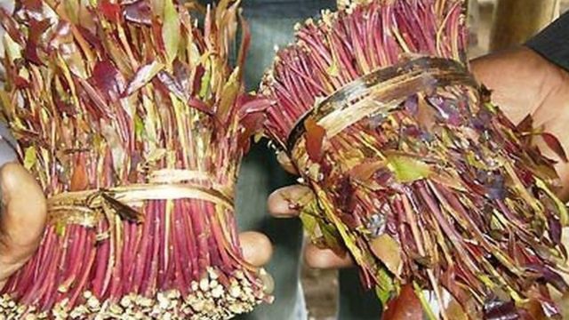 Waa Maxay sababta Diyaarada Nirobi kasoo qaaday jaadka ay hawada dib ugu noqotay,Ganacstada kenya o ka hadlay