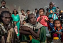 Warbixin ku saabsan Gaajada qoysaska barakacayaasha Tigray oo ka sii dareysa