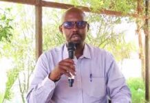 Berbera, Musharaxa Guulasysay ee cabdirashiid Berbrata oo siwayn ugu mahad celiyay tagerayashiisii codka kusoo saaray