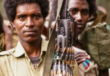 Jen Tsadkan Gebretensae: Waa kuma jenaraalka ka dambeeya guulaha ay gaartay jabhadda Tigray