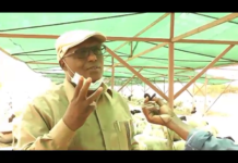 Berbera, Ganacsade Siyasi qabyo Tire oo ka hadlay Doorka Dhoofka Xoolaha iyo Arimo kale oo xasaasi ah