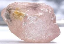 Dheemaan noociisu dhif yahay oo laga helay dal ku yaalla Afrika