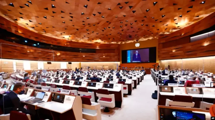 80470000-c0a8-0242-0061-08daa7ebe28b_w1023_r1_s