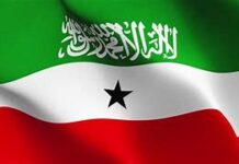 Shirkii Jig Jiga qorshihiisii wuxuu ka fulay Laascaanood,