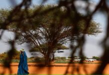 Kenya oo dib u dhigtay furista xuduudda Soomaaliya