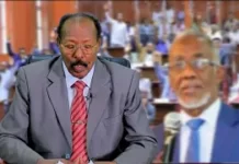 Waa kuma Ninka ku dherersan kara siyaasi Faratoon, siyaasi cadami