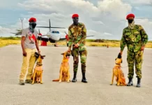 Maxay yihiin eeyaha lagu soo biiriyey ciidanka Somaliland