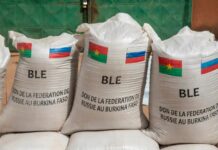 Falanqeyn: Reer Galbeedka oo ka walaacsan galaangalka Ruushka ee Afrika