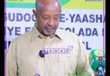 Qoladan Aanu Is Haysanaa Waa Intii Loo Haystey Inay……” Wasir Maxamed Kaahin
