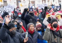 Ilhan cumar oo halis wayn ugu jirta in laga Eryo Senetka mareykanka sharcigana lagala Noqdo