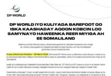 Shirkada Dp World Iyo Kulliyadda Barefoot oo Iska Kaashaday Aqoon Kobcin Loo Samaynaayo Haweenka Reer Miyiga Ah ee Somaliland