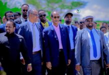 Mdaxweyne Daahir Rayaale oo si balaadhan loogu so dhaweeeyay Magalada Brama