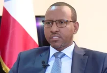 Waa kuma ninka Soomaaliga ee noqday ra’iisul wasaare ku xigeenka Itoobiya?