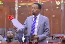 Maxa Kala Qabsaday Xildhibaan Qodax Iyo Gudomiye Faratoon