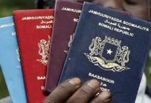 Basaboorka soomaliya oo culays la dul dhigay,midowga yurub