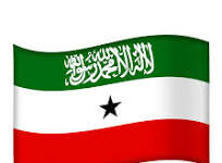 Dawlada Somaliland oo Caalamka gadhsiisay Khatarrta Amni ee Hubkii gacanta ugalay shacabka Cabudwaaq