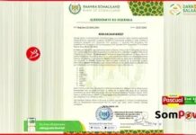 Warbaahainta muqdisho iyo ta jabuuti oo loo mideeyay dacayadaha ka dhanka ah Somaliland iyo Ethiopia,