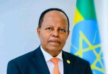 .Wasiirka Arimah dibada Ethiopia oo ka hadlay qaylada iyo dafirada muqdisho ee naf hurnimadii dawladooda ee kumananku kaga dhinten