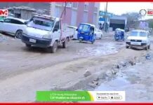 Maxaa horyaalla maamulka Cusub ee degmada Boorama?