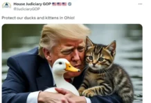 Waa sidee xaalka magaalooyinkii Trump sheegay in ‘eyda laga cuno’ uuna ka bilaabi doono masaafurinta ugu badan?