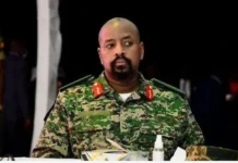 Aabahay la tartami maayo, Doorashada soo socotana wan taageraya, Madaxwayne African ah iyo Wiilkiisa oo dal wada xukuma