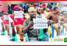 Ciidamada Masar ee Somalia la keenayo oo dood ka abuuray Muqdisho