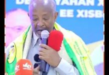 “Abtiyaal Deeryahan Ku Kalsoonaan Waayaa, Ciduu Ku Kalsoonaanayaana Ma Jirto….” Wasiir Kaahin