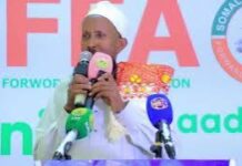 Berbera, Dalada Sofa oo dooratay mamul cusub