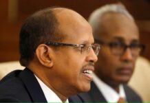 Jabuuti oo bedeshay hadalkeedii ahaa Dekad boqolkiiba boqol ay mamulato Ethiopia ayaanu siinaynaa,