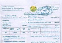 Masuul Uhadlay Maxjarka Dhoofka Xoolaha ee Almutaxida oo Been Abuur Ku Tilmaamay Waraqad Baraha Bulshada La Wareejinayo oo Somaliya Lagu Xidhiidhiyay