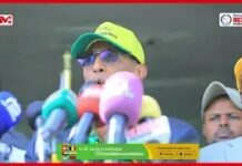 Maanta waxad soo bandhigteen banaan bixii ugu waynaa taariikhiyan “Madaxweyne Biixi