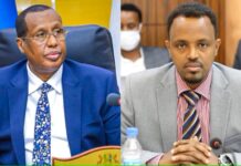 Puntland oo eedeyn culus u jeedisay DFS