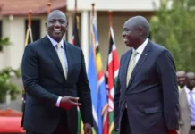 Shan waddan oo Afrikaan ah oo madaxweyneyaashooda iyo ku xigeenadoodii ay cadow isku noqdeen