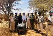 Booliiska Somaliland oo qabtay 10 harimacad oo Dhalal ah ,Halkese lagu qabtay,