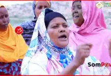 Madaxwayne Na Soo Gaadh”Dad Hargaysa Ku Durufaysan Oo La Ooyey Dhibta Mudahraadna Sameeyey